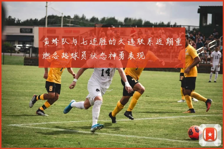黄蜂队与七连胜的久违联系近期重燃各路球员状态神勇表现