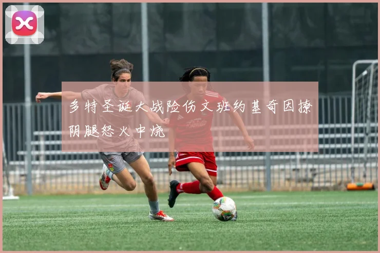 多特圣诞大战险伤文班约基奇因撩阴腿怒火中烧