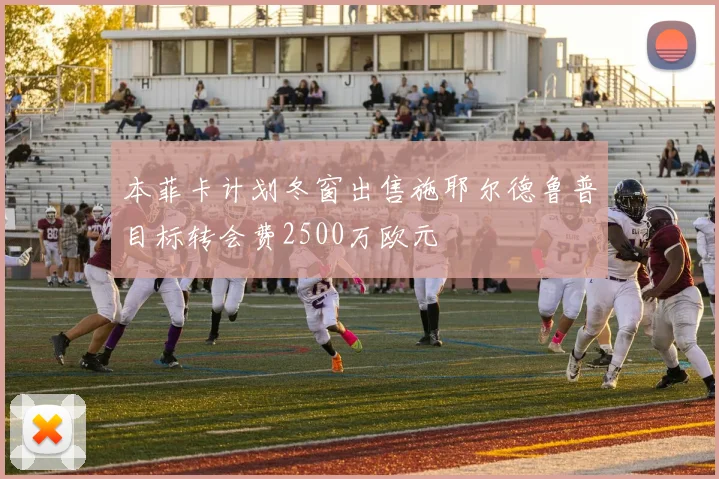 本菲卡计划冬窗出售施耶尔德鲁普目标转会费2500万欧元