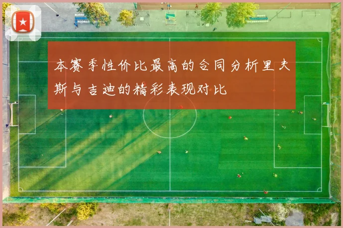 本赛季性价比最高的合同分析里夫斯与吉迪的精彩表现对比