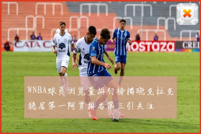 WNBA球员浏览量排行榜揭晓克拉克稳居第一阿贾排名第三引关注